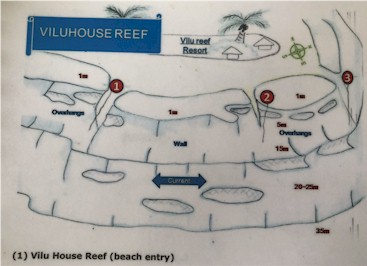 Vilu House Reef